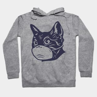 Cat Mask Hoodie